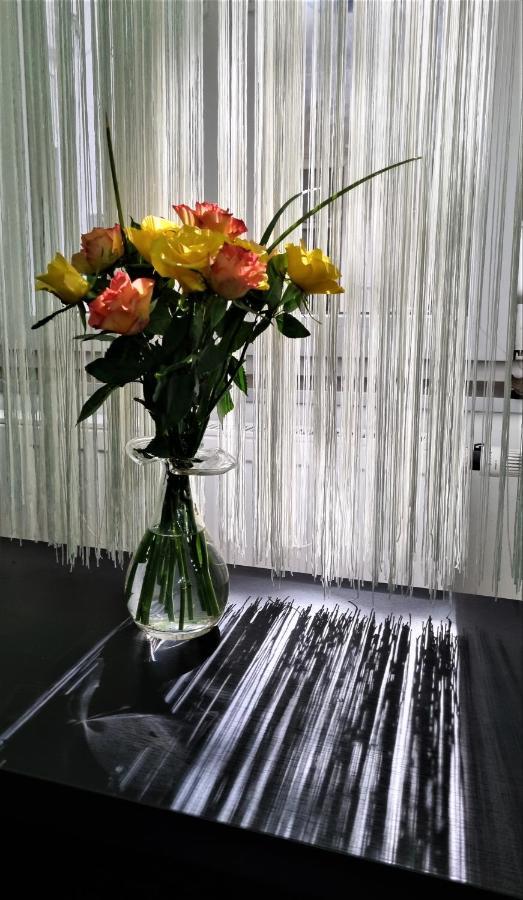 Apartman Goldcentral Art B6 *